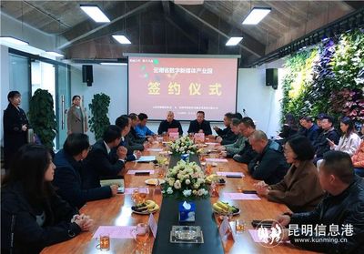 云南建設數字新媒體產業園 以軟件開發為引擎助推高質量跨越式發展